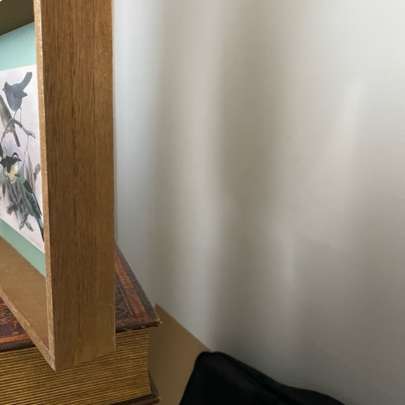 Vintage Style Framed Bird Art Illustrations Set, 2 Piece - Picture 10 of 12